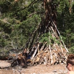 Some kind of lean too or teepee built at the eight tenth mile marker
